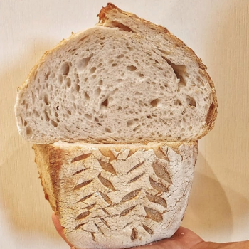 Ambarabà Bread first overview