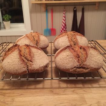 Anders´slash and burn rye mix Emmer/Dala Landwheat bread second overview