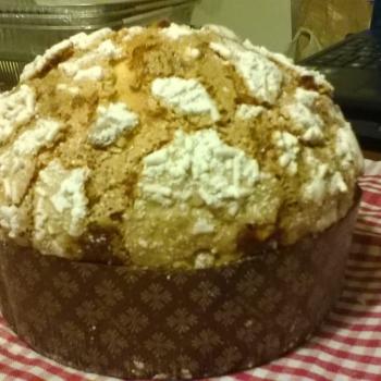 Arturo Panettone first overview