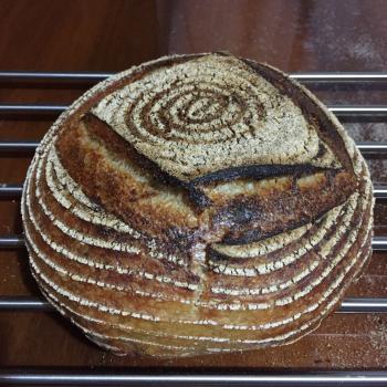 Baron Basic Country Bread first overview