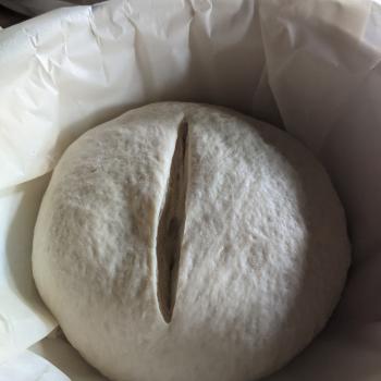 Beryl Quatermass Beginner sourdough bread first overview