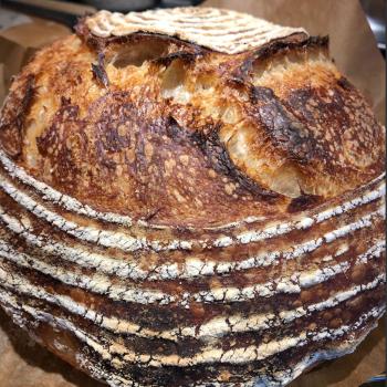 Bethany Sourdough daily bread first overview