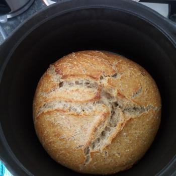 Brooderhood community bread  second slice