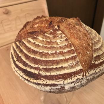 Budo#1 Pain de Campagne first overview