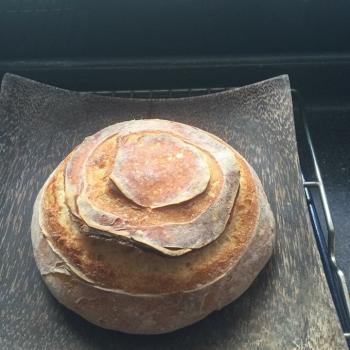 Fat Piggy Sourdough Tartine and plain bread first overview