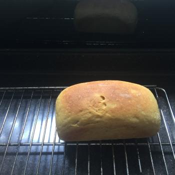 Fat Piggy Sourdough Tartine and plain bread second overview