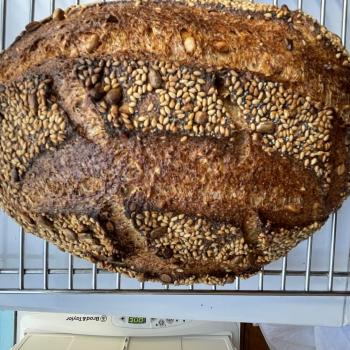 Fiona Appolonia 1.6 kilo Miches and Batards  second overview