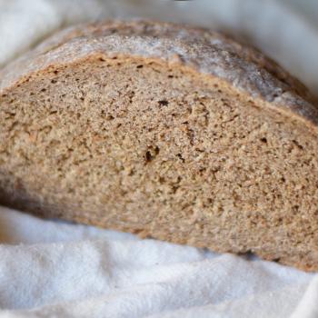 gingeryeast Probiotic fermented bread first slice