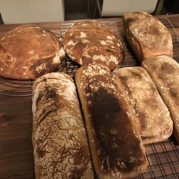 Herbert Croissants, bread, soft flatbreads first overview