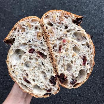 June Sourdough walnut cranberry bread first slice