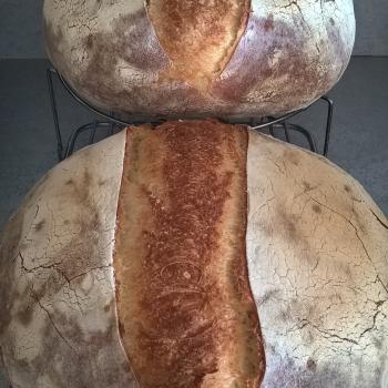 Katerina's Prozymaki Bread first overview