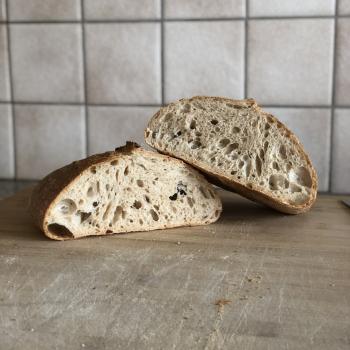 Kenobi Bread second overview
