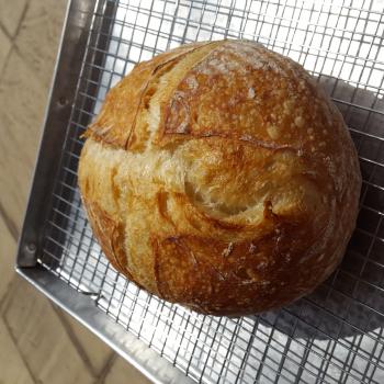 LeeminKo  White Loaf second overview