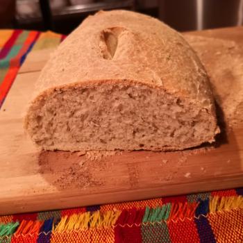 LoreMar Oregano bread first overview