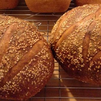MacPike Family Starter Sourdough Boules second overview