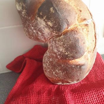 Memole Cornetto di Matera bread first overview