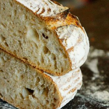 Micro volume 100% wheat by Piotr Polomski Wheat breads second slice