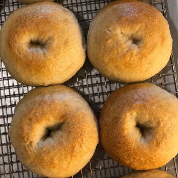 Miss Cheerilee Sourdough bagels first overview