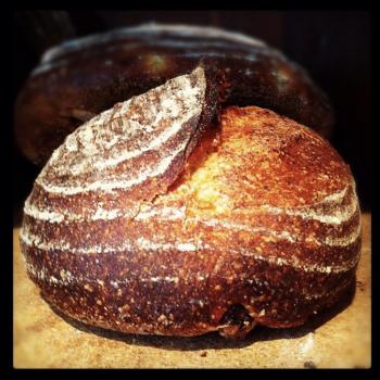 Montana Gold San Francisco Wharf Style Sourdough Bread first overview