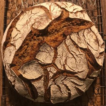 Mooskuh Rye-Emmer bread first overview