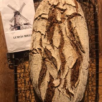 Mooskuh Rye-Wheat windmilled bread first overview