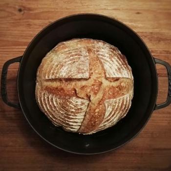 October White Sourdough Everyday Bread first overview