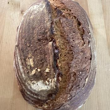 Old Sally Guinness sourdough  first overview