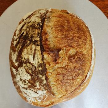P. MADRE Sourdough bread of Rye, Wheat or Spelt, Sourdough banana bread, Focaccias  second overview