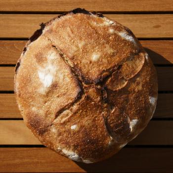 Pamuk Classic sourdough first overview