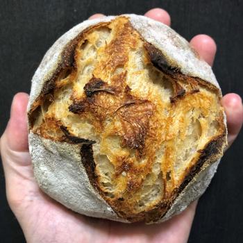 Pandemidough Bread first overview