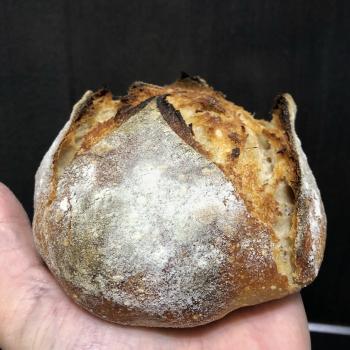 Pandemidough Bread second overview
