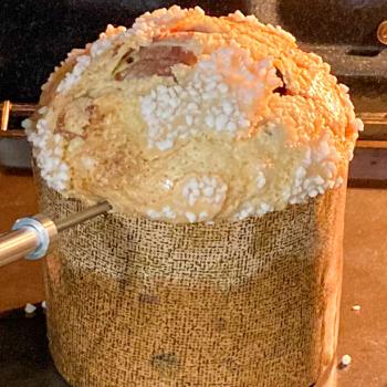 panettoneseed Panettone second overview
