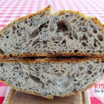 Parbo Sourdough multi seeds bread first overview