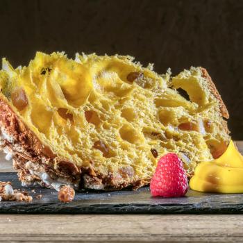 Pasta Madre Viva Panettone e Colomba first overview