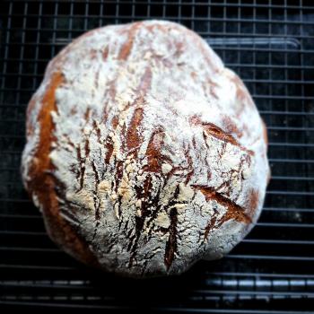 Rocky Galahad High hydration sourdough bread first overview