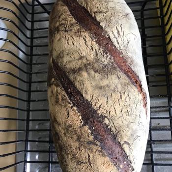 Roger Wheat and Rye mix bread first overview