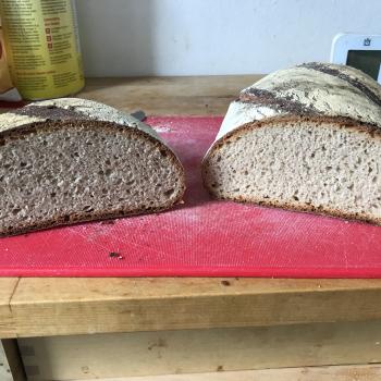 Roger Wheat and Rye mix bread first slice