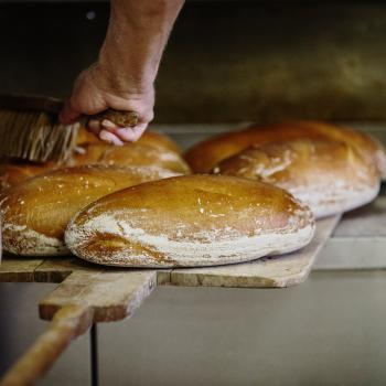 RYE SOURDOUGH/ZAKWAS ŻYTNI "PISKOREK" Chleb nowowiejski na zakwasie/"Nowowiejski" Bread first slice