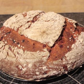 September starter Sourdough beetroot bread first overview