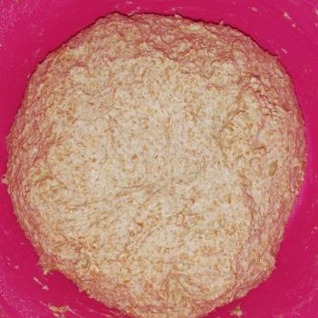 Shatana's starter  Wholegrain sourdough bread first overview