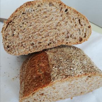 Shatana's starter  Wholegrain sourdough bread second slice