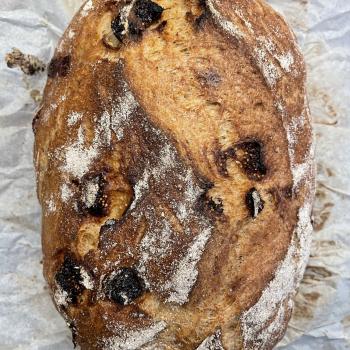 Sjeord Gluten Free Sourdough Loaves first overview