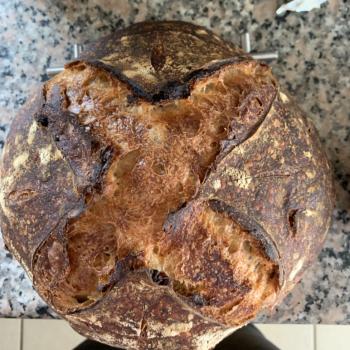 Sourpuss  Sourdough with chestnuts and nutmeg first overview