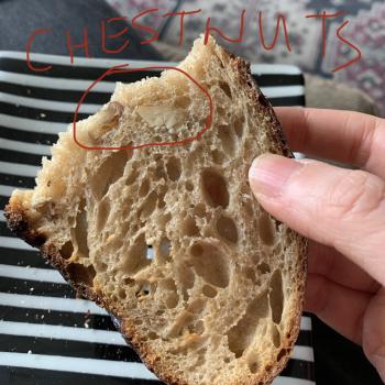 Sourpuss  Sourdough with chestnuts and nutmeg second overview
