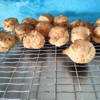 Southern gold American style Soudough biscuits first overview