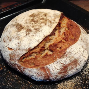 Spring Wind Country bread first overview