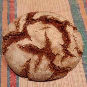 Spring Wind Rye bread called "Limppu" first overview
