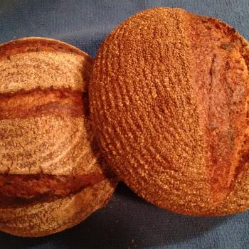 Tony Whole wheat and Rye  first overview