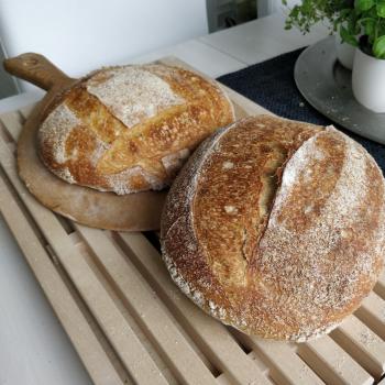 Tyyni Sourdough breads first overview