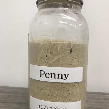 Penny recipe